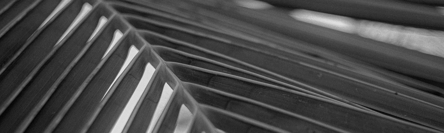 descubra icaraizinho